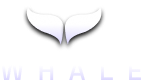 Noir Whale